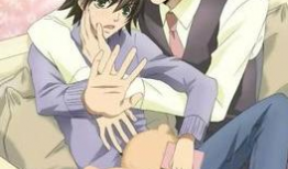 耽美动漫漫画,动漫漫画中的甜蜜羁绊与浪漫传说